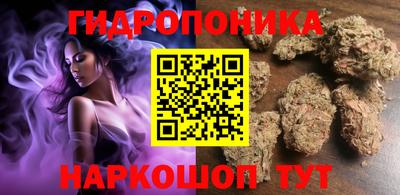 хмурый Новозыбков